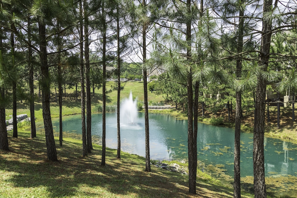 King s Creek Resort by Spinnaker - photo 45