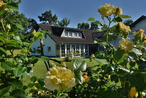 Hotel Ederstrand - carbon neutral hotel in Frankenberg