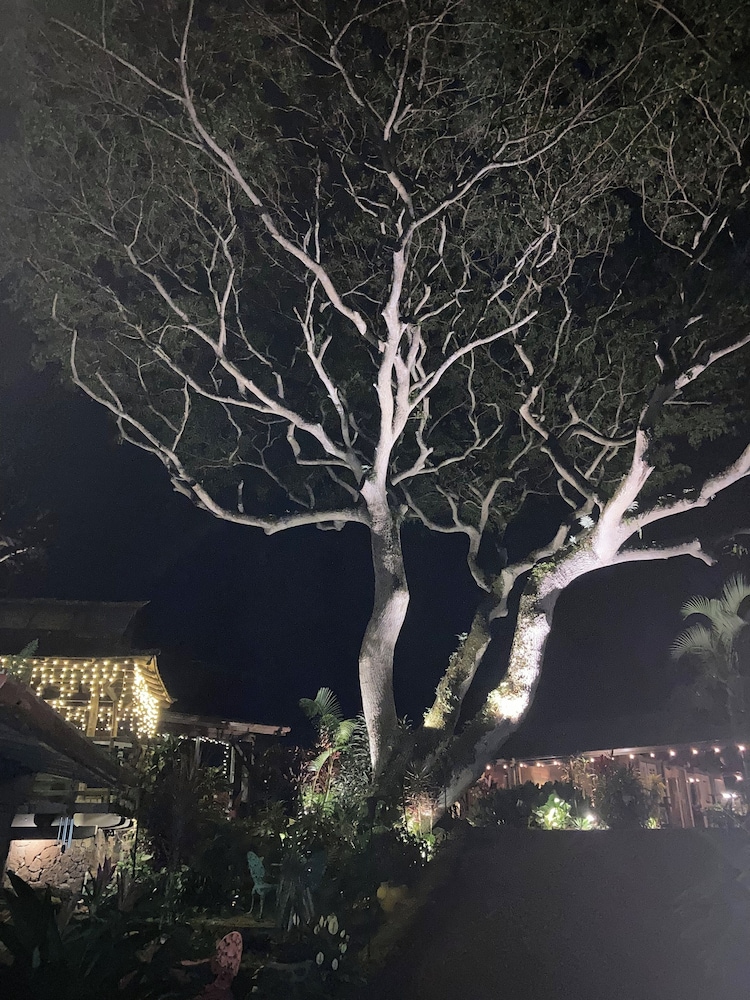 Hale Maluhia Country Inn - photo 32