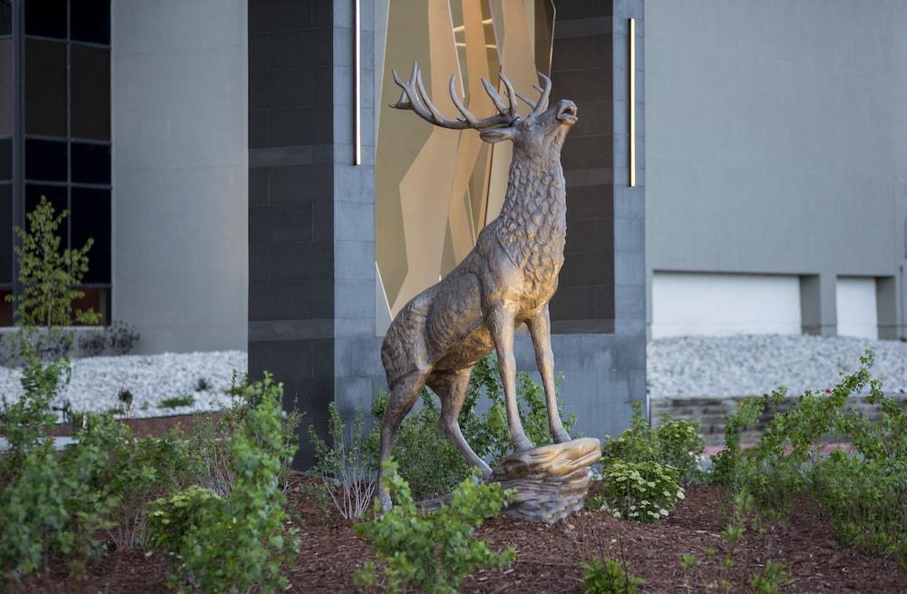 Denver Marriott Tech Center - photo 41