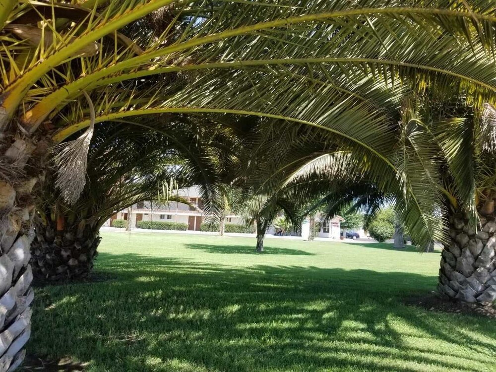 99 Palms Inn & Suites - photo 51