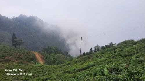 Montavilla Eden Homestay Sittong — Karsiyang — photo 4