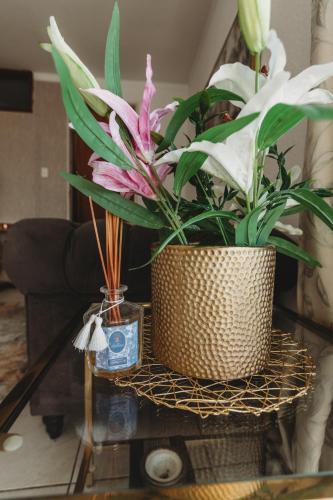 Studio apartment Kloof Street