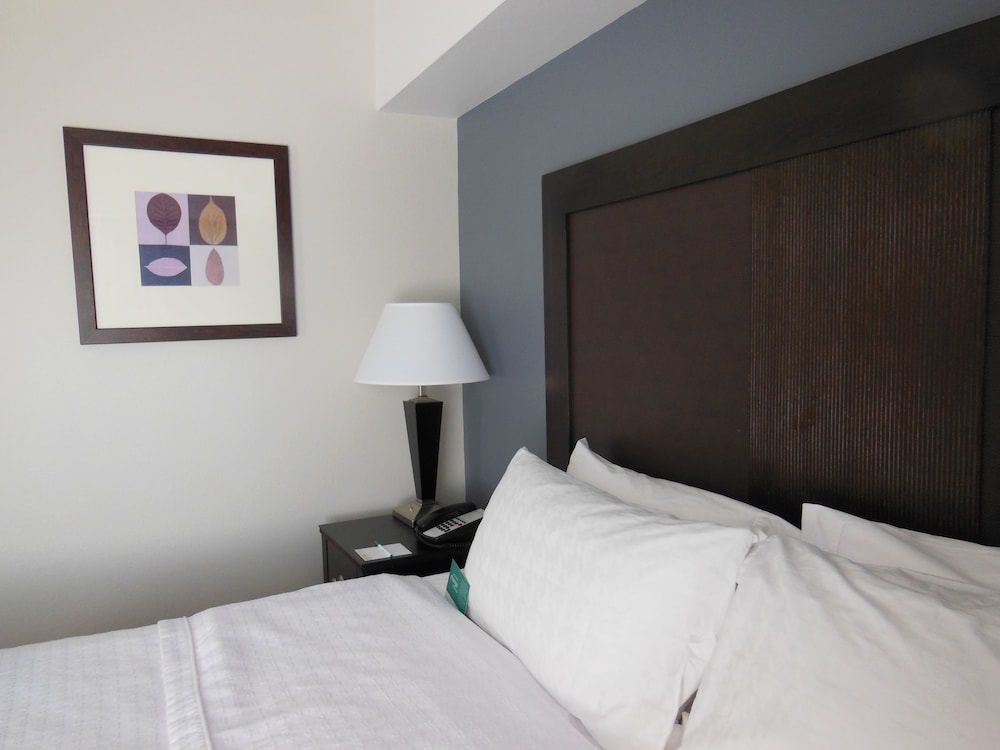 Homewood Suites by Hilton Louisville East - photo 8