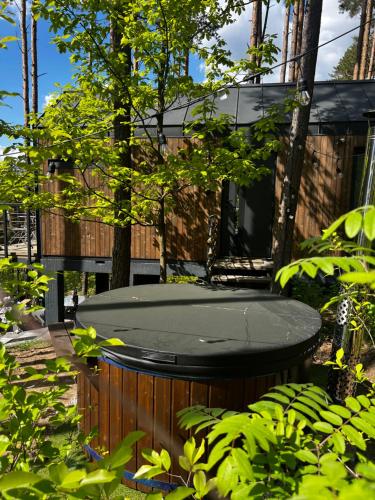 Domek w Koronach Drzew in Kielce, Poland