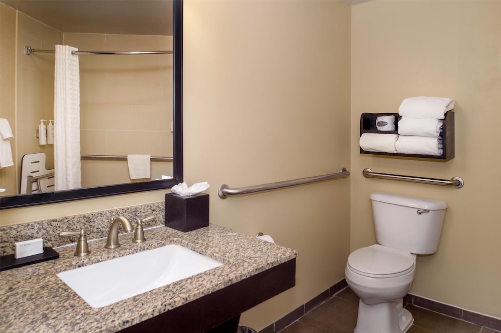 Hampton Inn by Hilton St. Louis Airport - photo 62