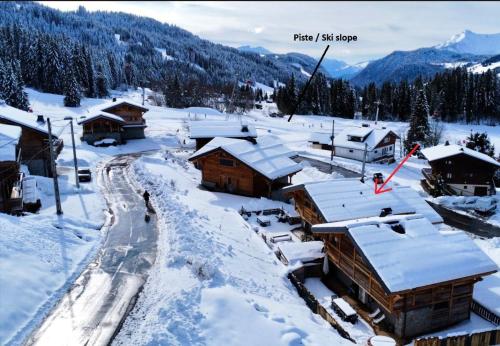 Chalet Les Gets 6 pièces 11 personnes FR 1 598 66 — 5-Star Luxury Hotel in Les Gets, France