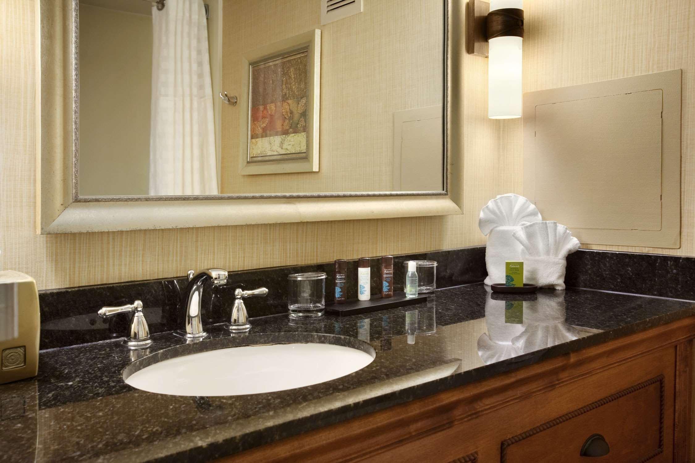 Embassy Suites by Hilton Columbia Greystone - photo 41