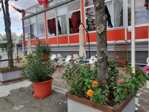 Hotel Paradiso — hotel in Castelfranco Emilia