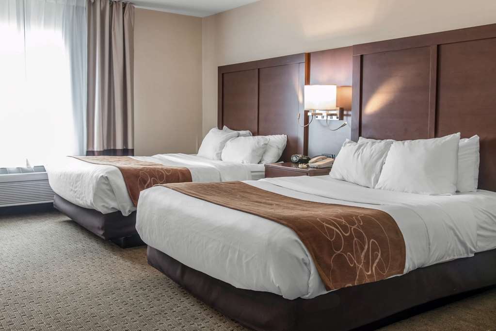 Comfort Suites Wixom Novi - photo 16