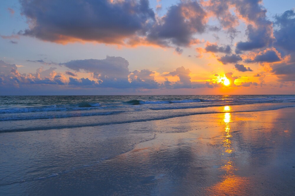 Gulf Beach Resort Motel - photo 16