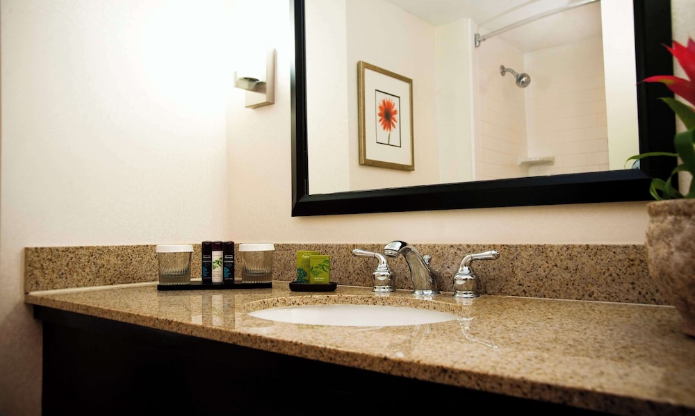 Embassy Suites by Hilton Memphis East Germantown Area - photo 31