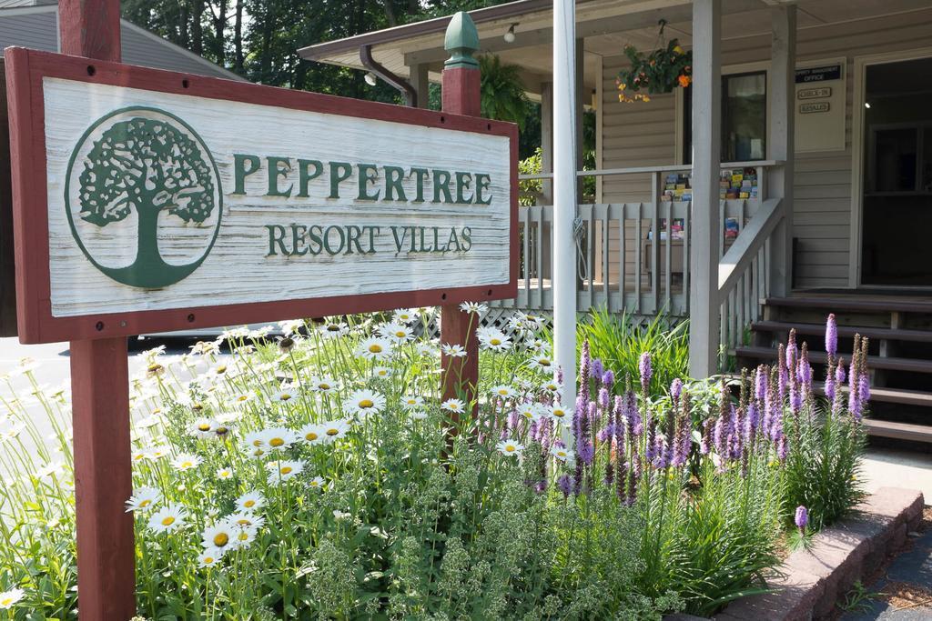 Peppertree Maggie Valley - photo 11