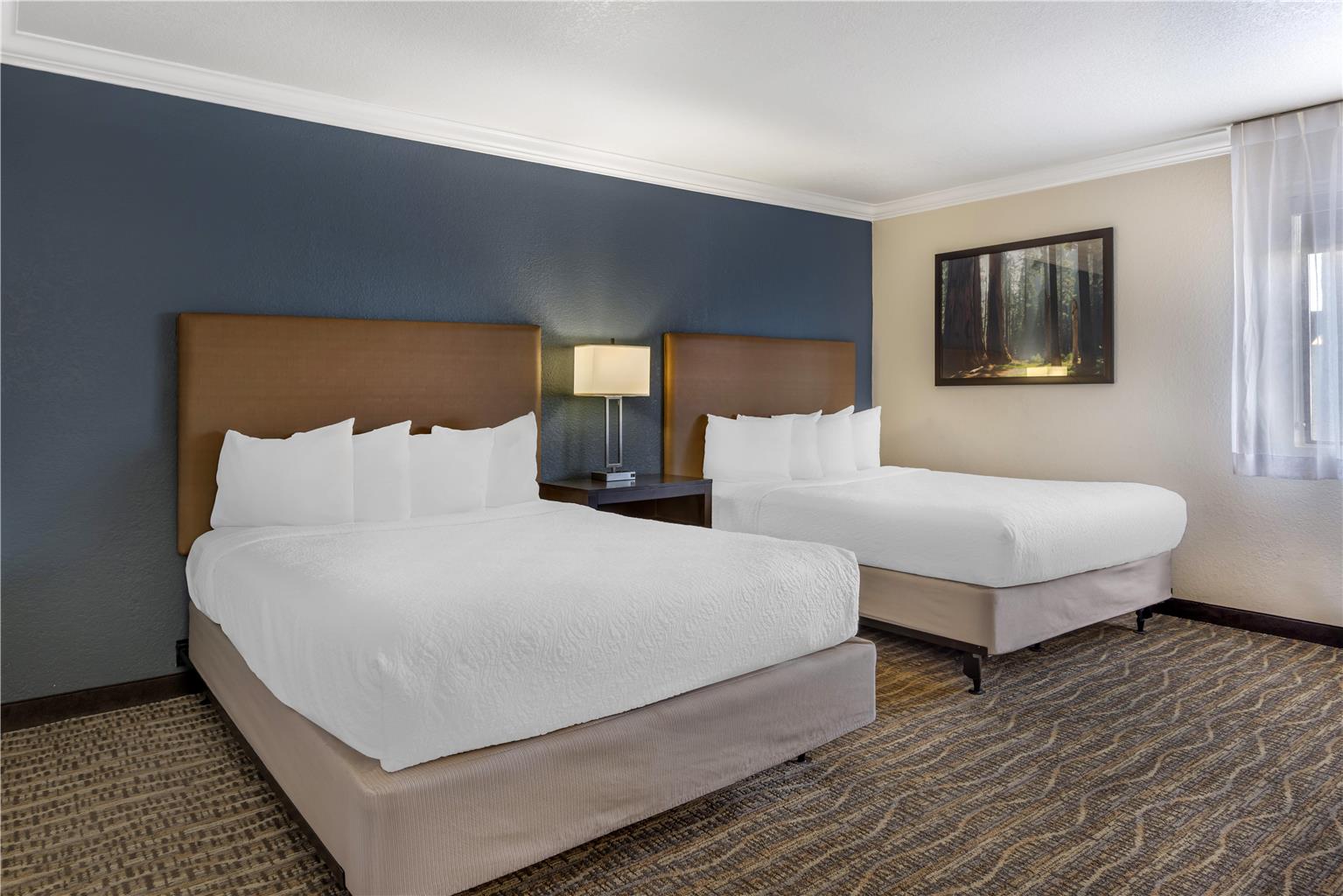 Best Western Town & Country Lodge - photo 21