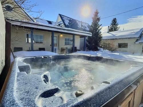 Gem Palace with Hot Tub Sauna in Leadville, United States
