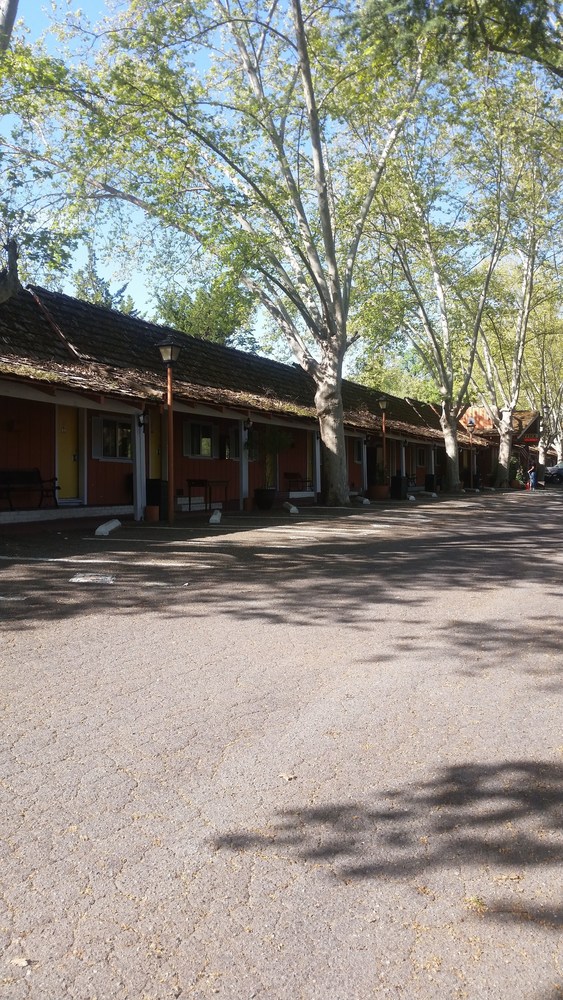 Sonora Gold Lodge - photo 19