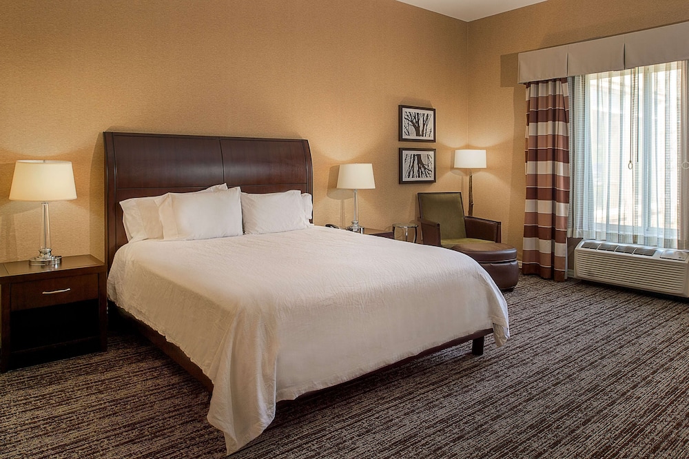 Hilton Garden Inn St. Louis Airport - photo 25