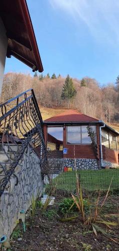 La Coana Mița Bran — Simon — photo 4