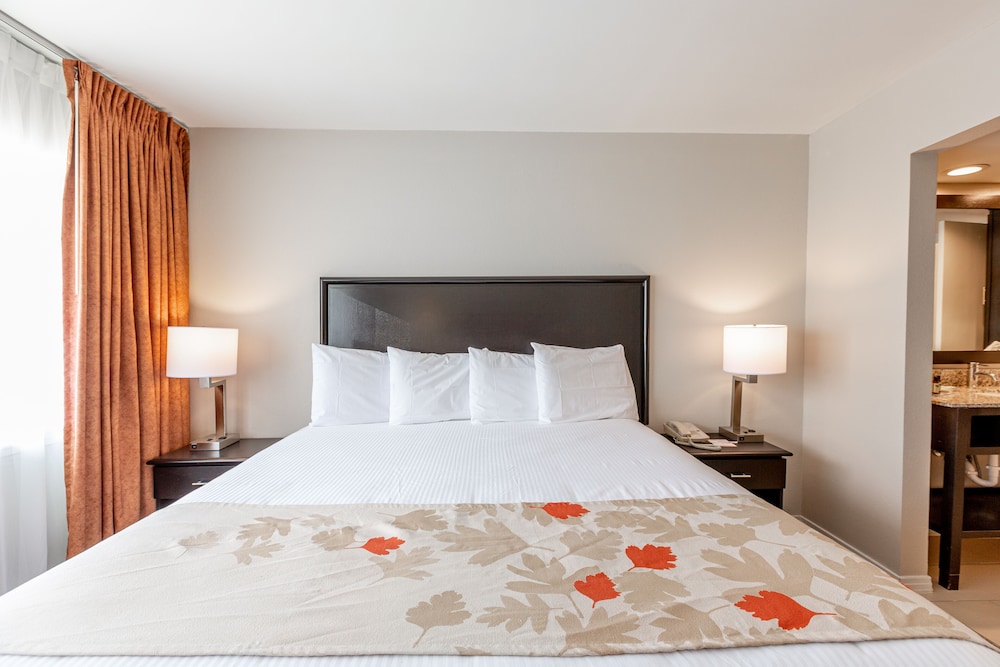 Hawthorn Suites By Wyndham Arlington Dfw South - photo 7
