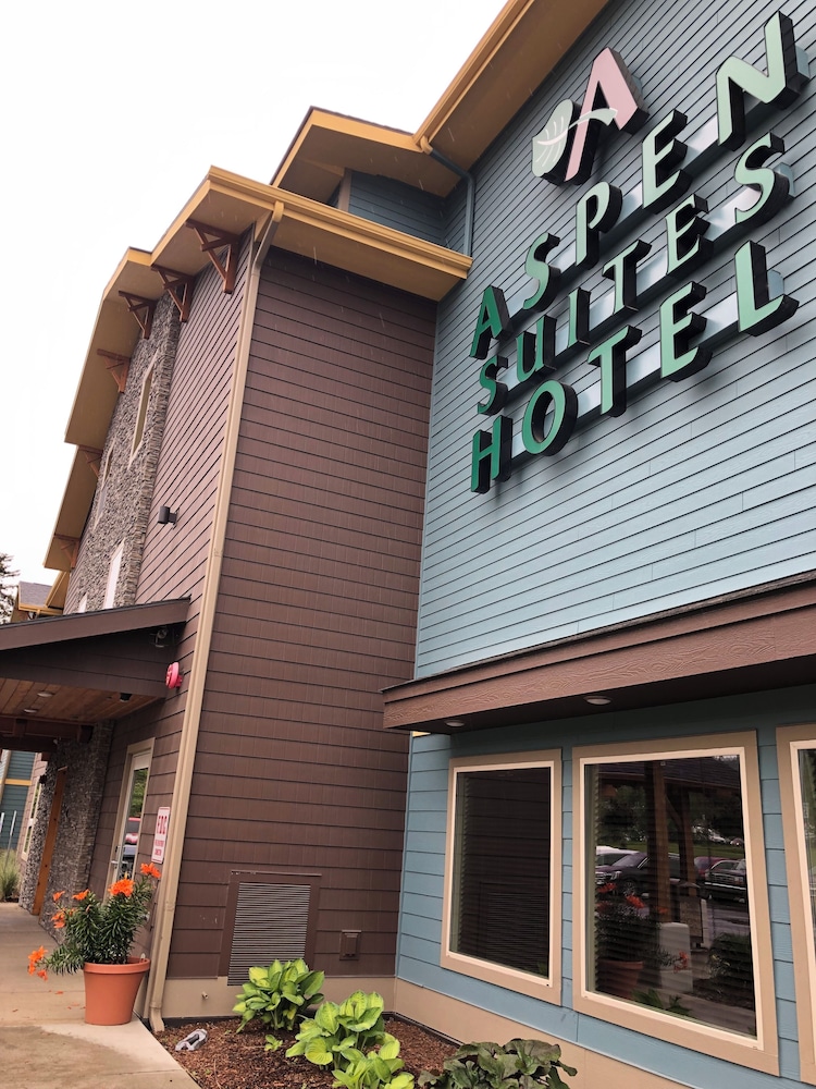 Aspen Suites Hotel Homer - photo 21