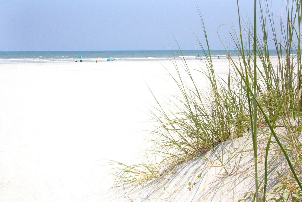 Sand Dollar I 504 - photo 36