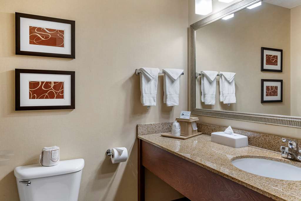Comfort Suites Linn County - photo 26