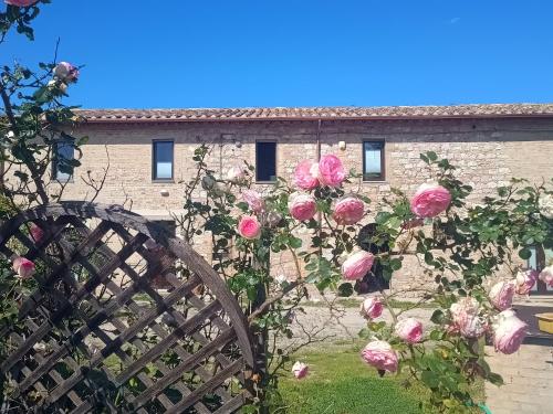 Casale Il Cantico della Tenerezza in Assisi, Italy