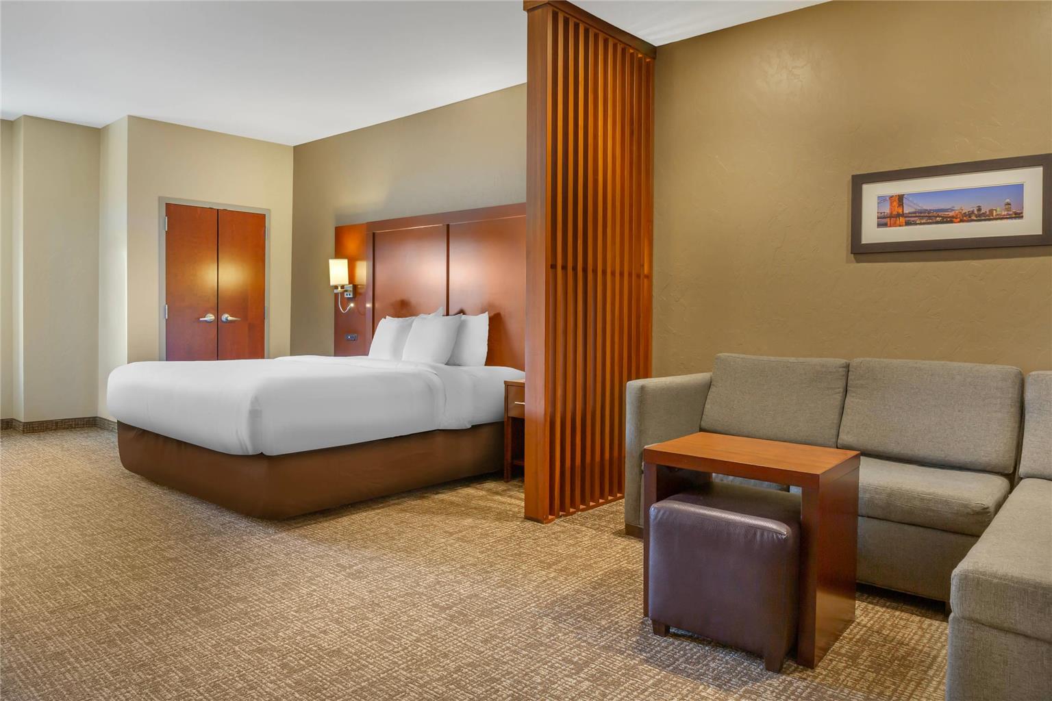 Comfort Suites Florence Cincinnati South - photo 26