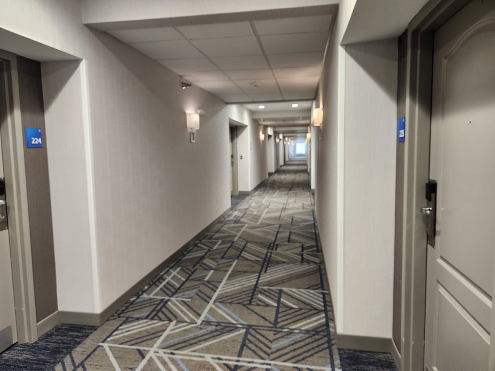 Holiday Inn Express Hotel & Suites Crawfordsville by IHG - photo 32