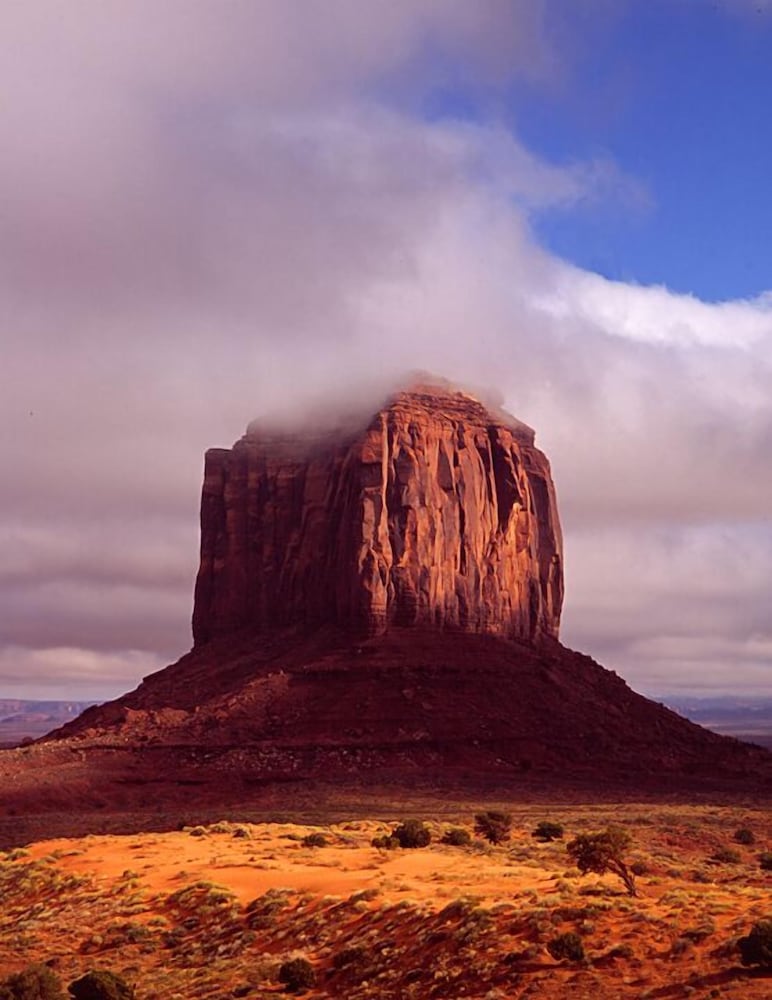 Hampton Inn Kayenta - photo 38