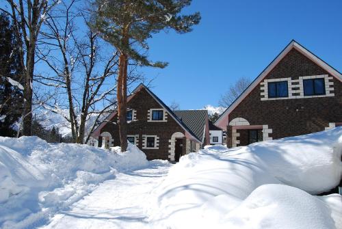 Alpine Chalets Hakuba - carbon neutral hotel in Nagano