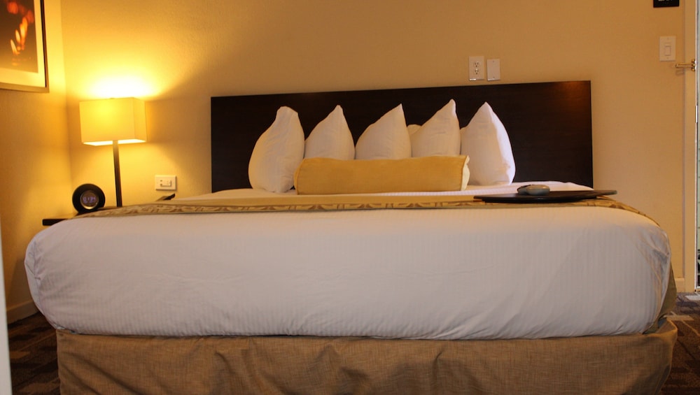 The Zen Hotel Palo Alto - photo 11