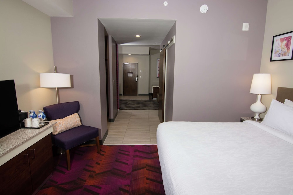 Hilton Garden Inn Tampa Suncoast Parkway - photo 31
