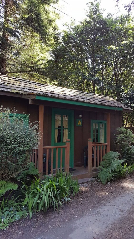 Emerald Forest Cabins - photo 86