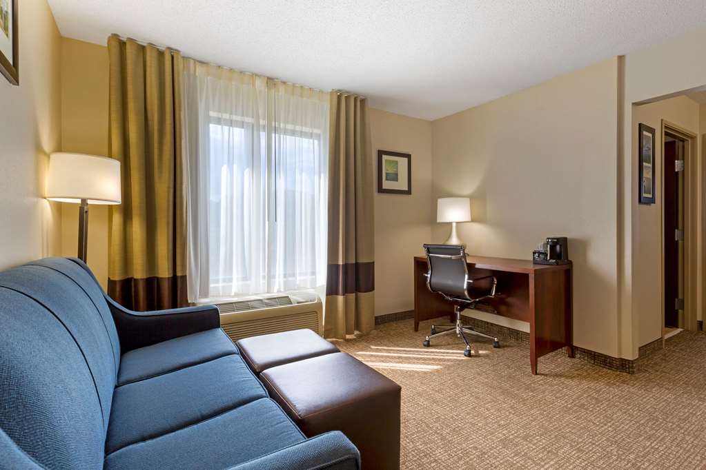 Comfort Inn & Suites Cambridge - photo 22