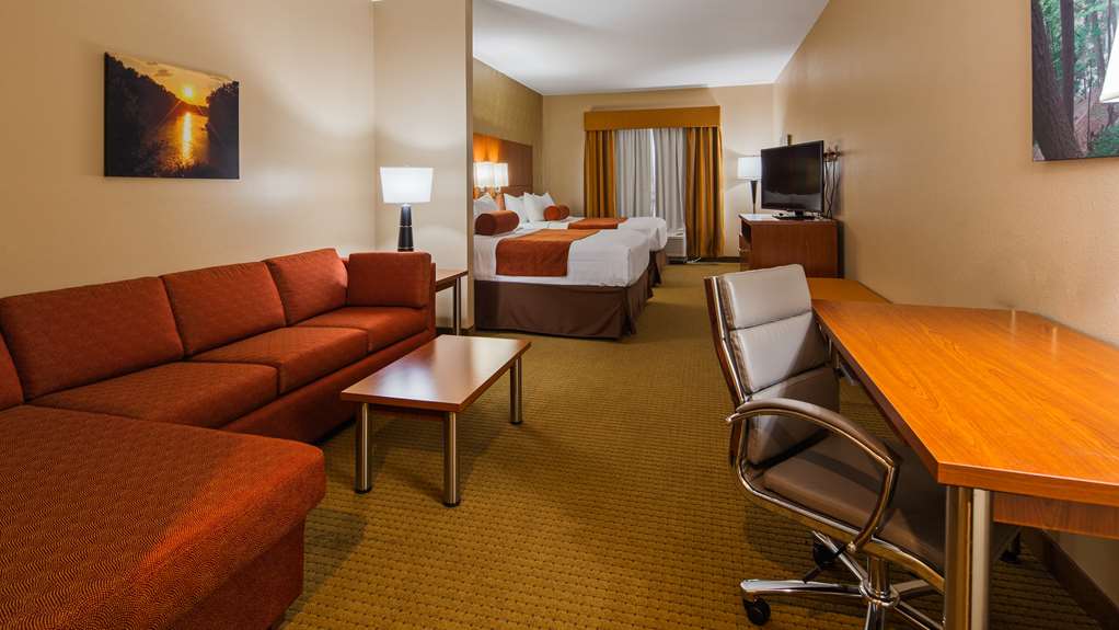 Best Western Plus Finger Lakes Inn & Suites - photo 8