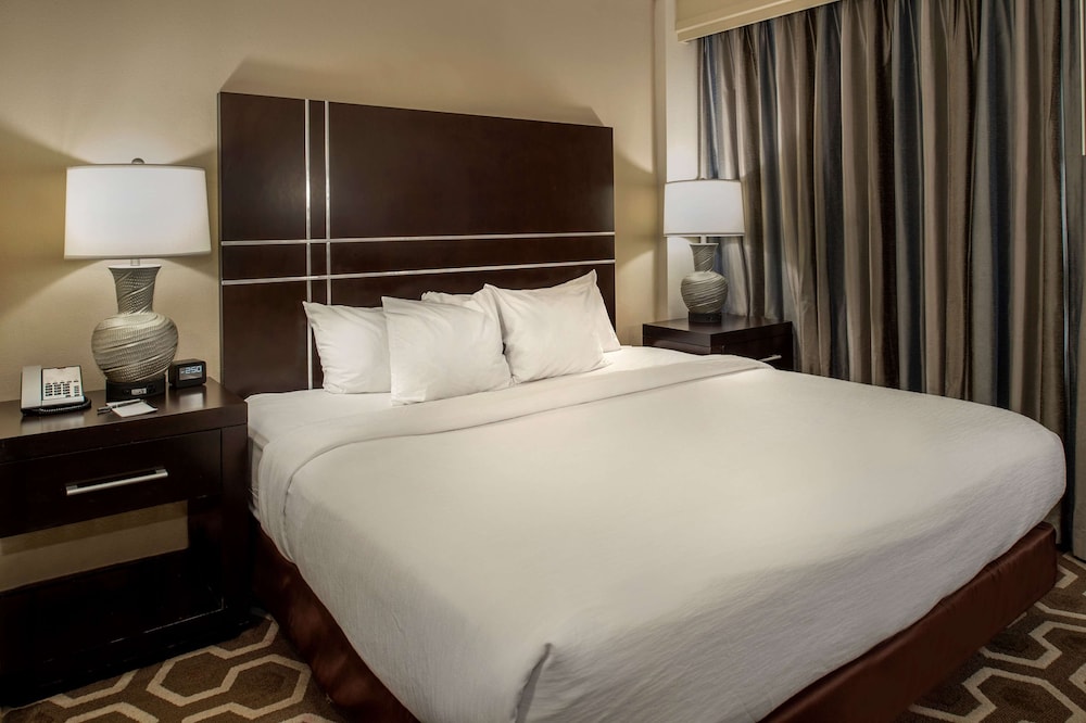 Embassy Suites by Hilton St. Louis Airport - photo 14