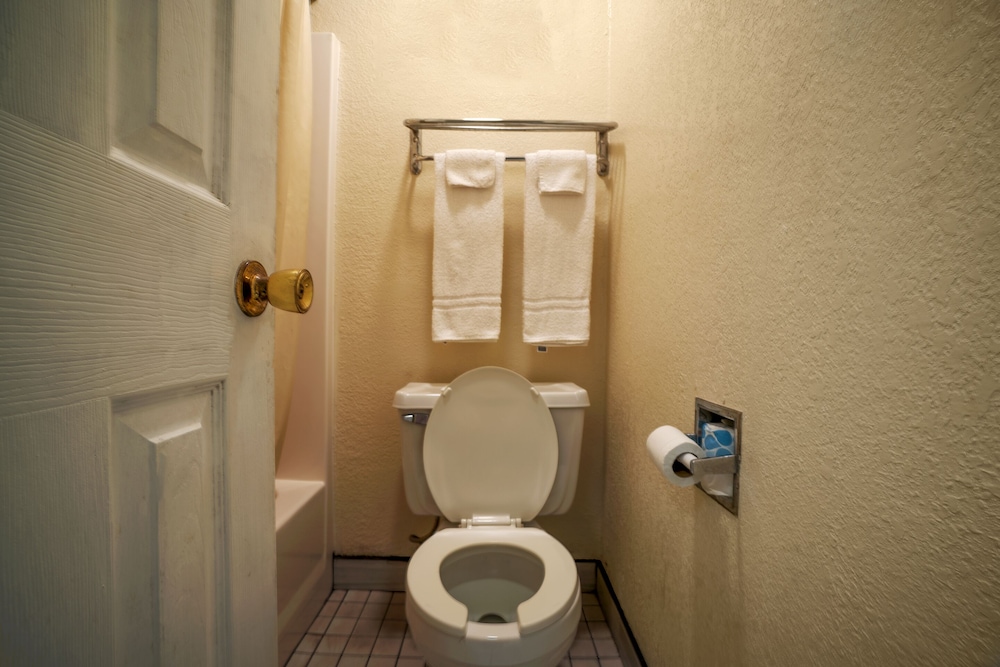 Texas Inn San Benito near Harlingen - photo 46
