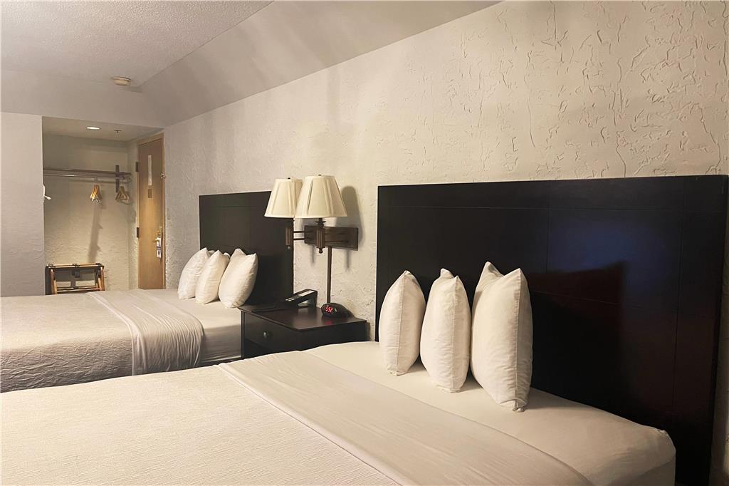 Chateau Hotel and Conference Center - photo 17