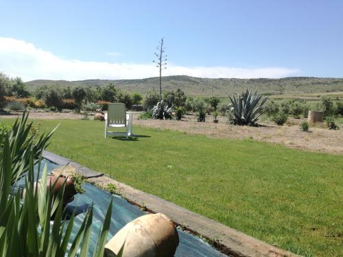 Casa Los Olivos — Gravalos — photo 3