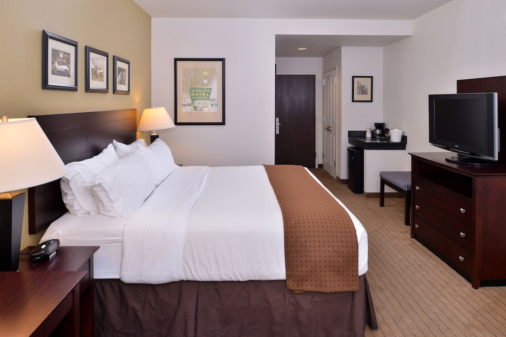 Holiday Inn Madison at The American Center by IHG - photo 9