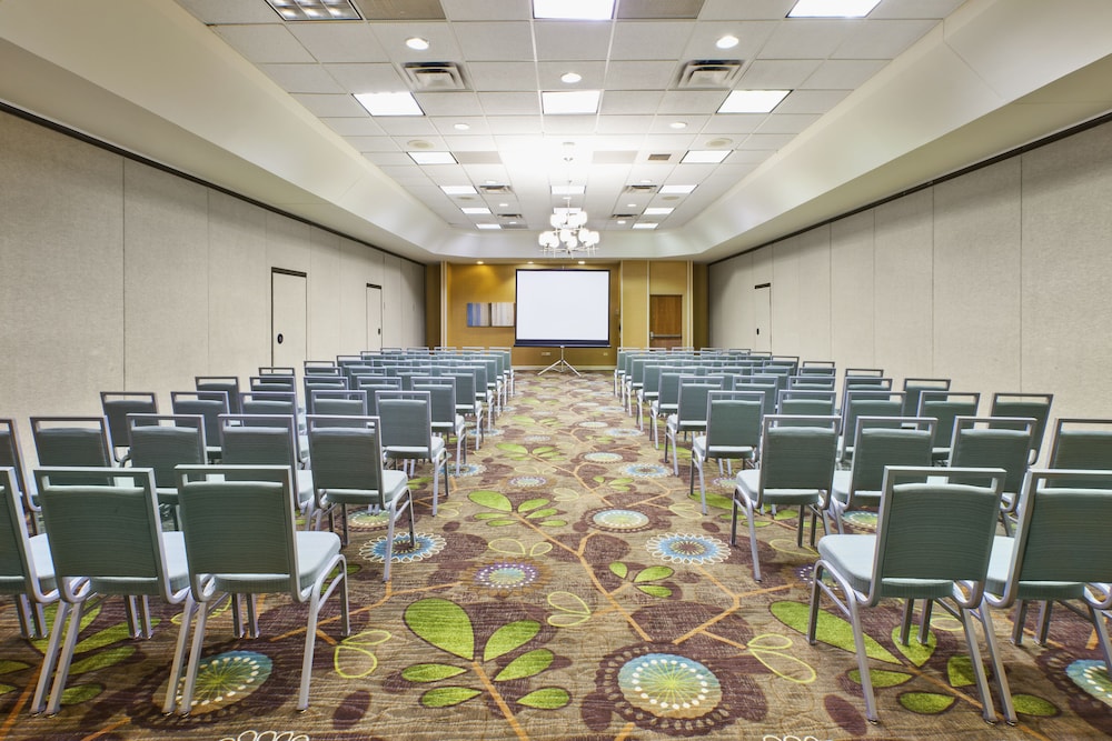 Holiday Inn & Suites Bolingbrook by IHG - photo 57