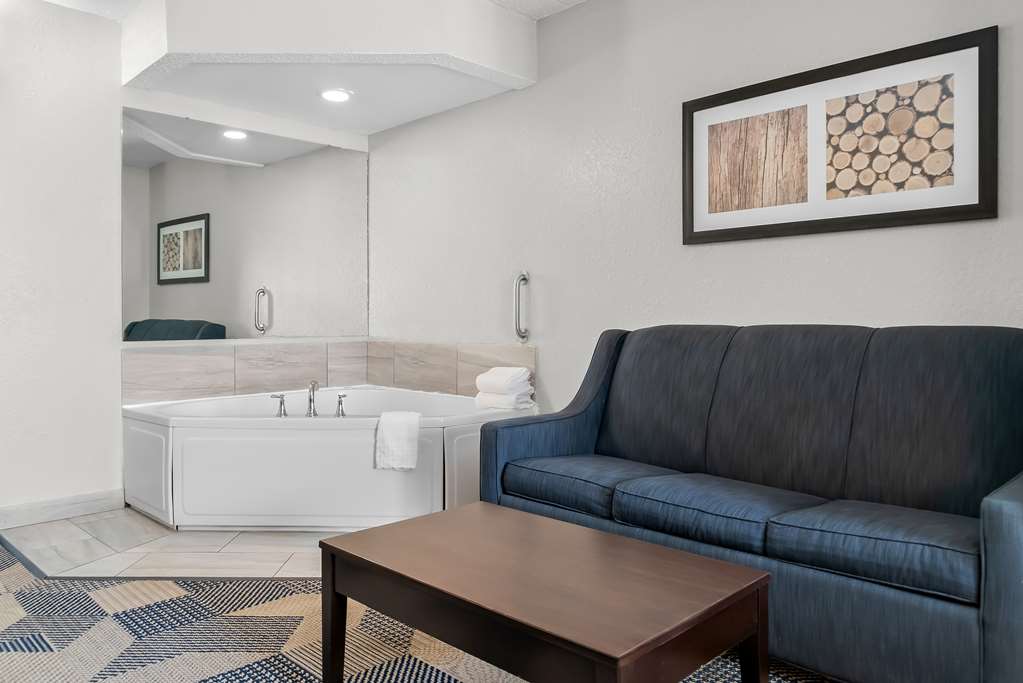 Best Western Plus Flint Airport Inn & Suites - photo 13