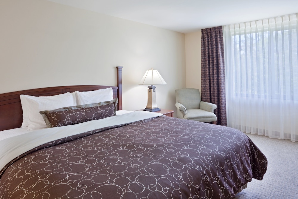 Staybridge Suites Everett Paine Field by IHG - photo 10