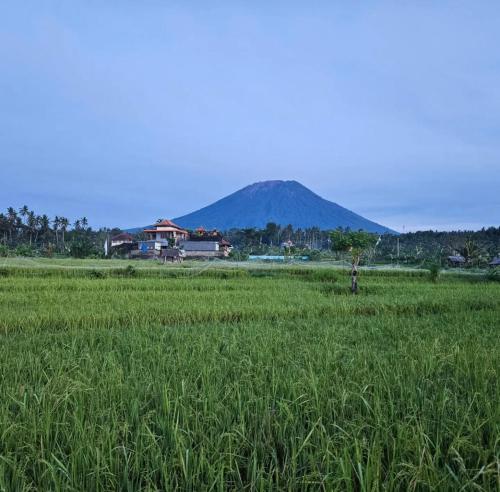 Cabé Bali — Bali — photo 3
