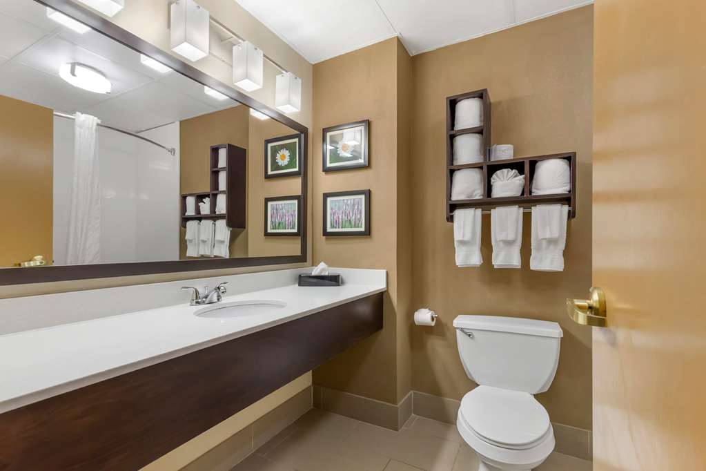 Comfort Suites Regency Park - photo 8