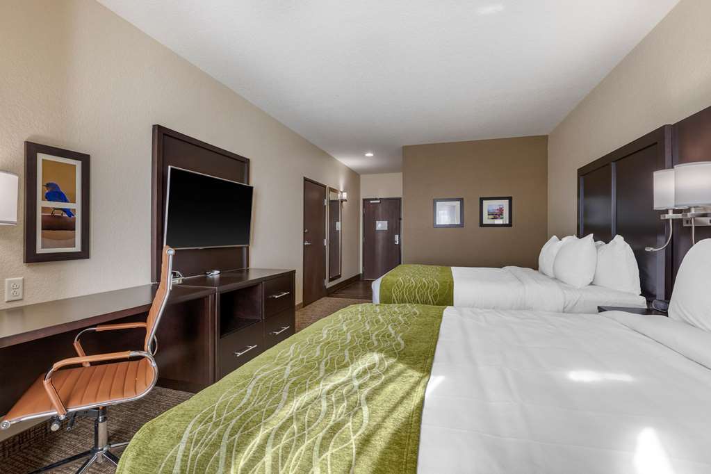 Comfort Inn & Suites Cedar Rapids CID Eastern Iowa Airport - photo 19
