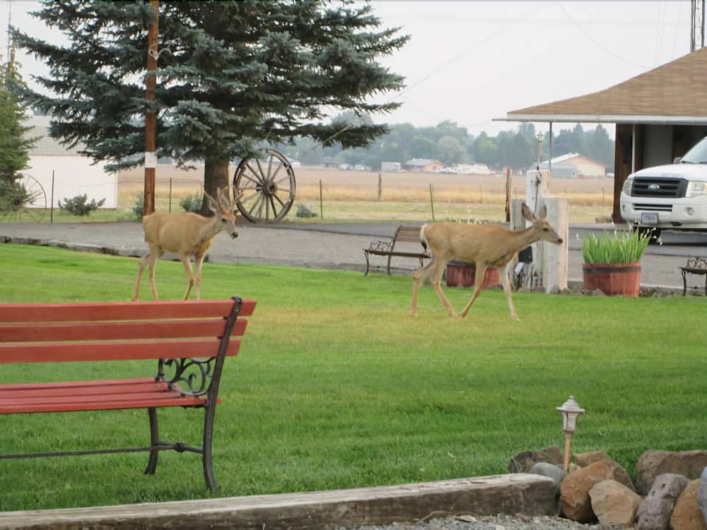 Rim Rock Motel