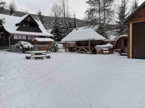 Cabana Cerbul de Aur Sub Cetate in Izvoare, Romania