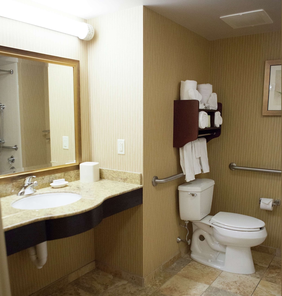 Hampton Inn Rochester Webster - photo 26